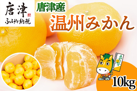 『先行予約』【11月上旬発送予定】唐津産 温州みかん 10kg バラ ハウスみかん ミカン 果物 フルーツ
