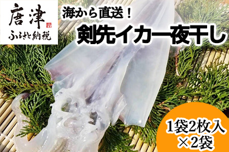 海から直送!剣先イカ一夜干し いか おつまみ 干物 酒の肴「2024年 令和6年」