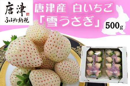 『予約受付』[令和7年2月中旬発送]唐津産 白いちご「雪うさぎ 」苺 イチゴ 希少 果物 フルーツ 脇山農園