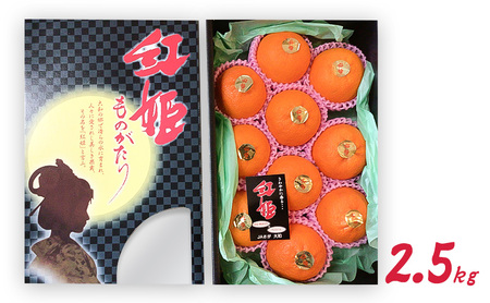 gPiÂ̋Pj2.5kg k ʕ t[c fU[g zs: