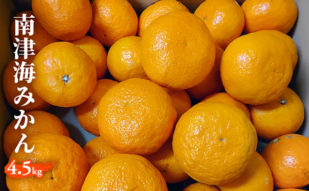 ݂ ÊCiȂ݁j݂ 4.5kg k ʕ t[c fU[g zs: