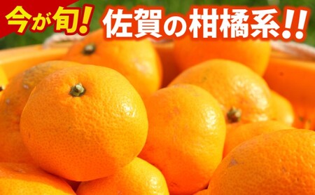 デコポン 不知火 約5kg 佐賀県産 みかん 柑橘類 ※配送不可:北海道、沖縄県、離島