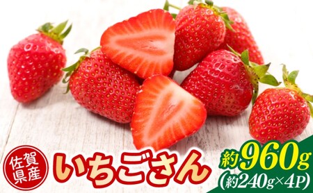 いちご 佐賀県産 いちごさん 約960g (約240g×4パック) イチゴ 果物 ※配送不可:北海道、沖縄県、離島