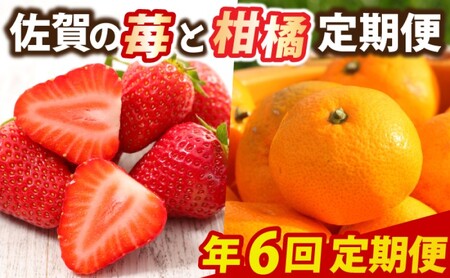 定期便 6回 佐賀の苺と柑橘定期便 いちご 柑橘 年6回 ※配送不可:北海道、沖縄県、離島