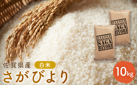 新米 先行予約 さがびより 佐賀県産 白米 10kg (5kg×2) 五つ星お米マイスター厳選 米 ※配送不可:離島