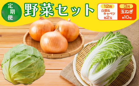 定期便 2回 野菜セット 12月(白菜 2玉・キャベツ 2玉)、3月(玉ねぎ 約10kg) セット ※配送不可:離島