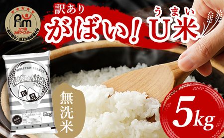 󂠂  sӂ邳Ɣ[Ō ߘa7NY@΂U(܂) yāz 5kg ܂ă}CX^[I (puh) ƒp  zsF