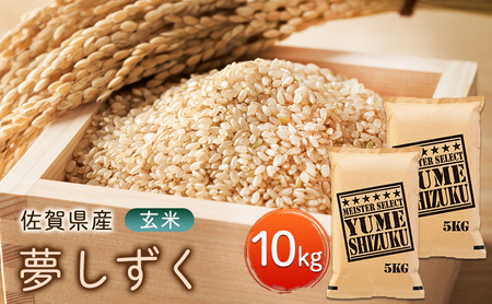 ���� �������� 10kg (5kg×2��) �܂����ă}�C�X�^�[���I�I �� ���� ���z���s�F����