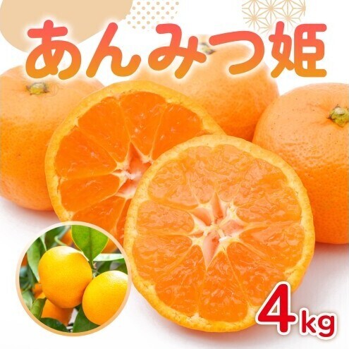 みかん 佐賀県産 みかん あんみつ姫 4kg 果物 フルーツ ミカン デザート ※配送不可:離島