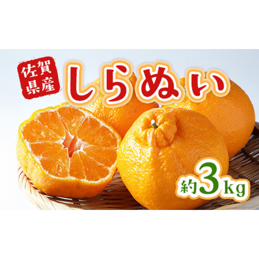 不知火 しらぬい 約3kg 柑橘 みかん ジュース ゼリー シャーベット 果物 フルーツ デザート ※配送不可:離島