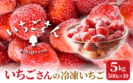 冷凍いちご(いちごさん)5kg(500g×10) _k-30