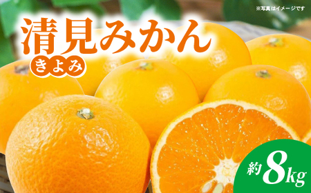 清見(きよみ)みかん 約8kg _c-141