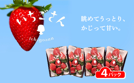 ���������� 4�p�b�N _b-496