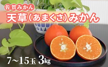 天草(あまくさ)みかん 7〜15玉 3kg(化粧箱入り) _c-142
