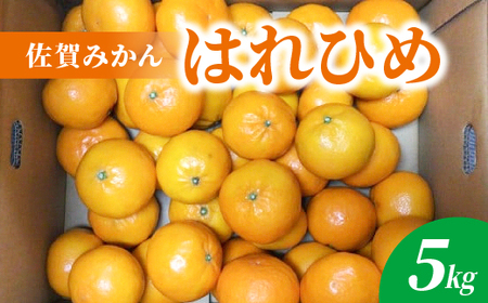 はれひめ 5kg 佐賀 みかん_b-499