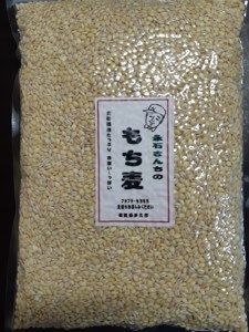永石さんちのもち麦（キラリモチ）定期便 4kg×4回 _e-31