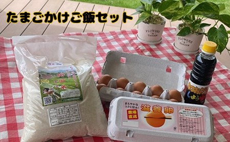 相浦ファームの滋養卵を使用 たまごかけご飯セット