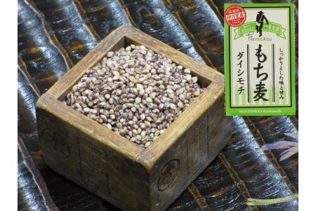 もち麦(ダイシモチ)1600g×2袋