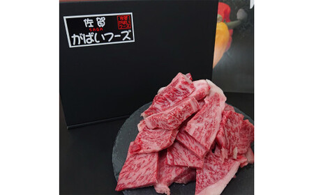 ꋍ͂1Kg 161-J774