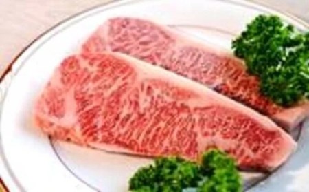 A5 ꋍ [XXe[L 180×5 iɖY) 002-J302