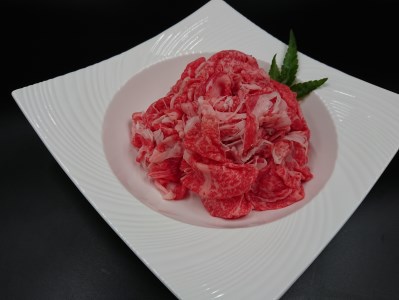A5 A4 ꋍ 낢؂藎Ƃ  150g×4  117-J536