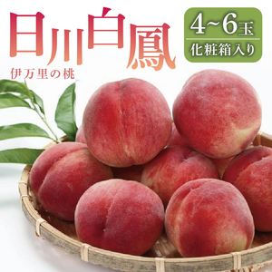 【先行予約】伊万里の桃「日川白鳳」化粧箱入り（4～6玉） B065