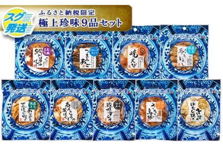 古伊万里浪漫 おつまみ 9選（するめ さきいか等） G227