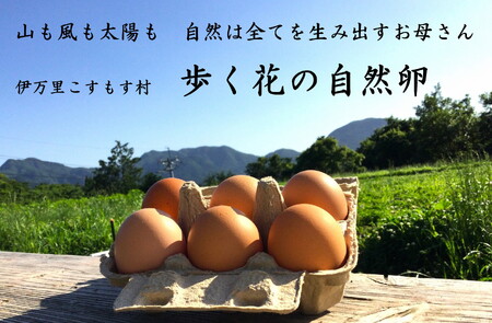 伊万里こすもす村 歩く花 たまご 卵 6個入り×2箱×2回定期便