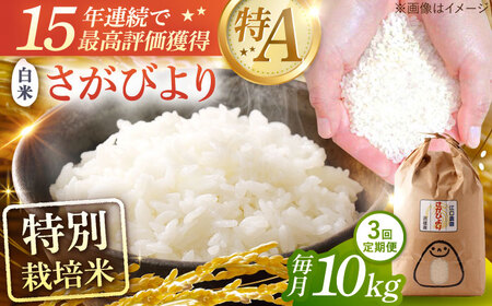 【3回定期便】さがびより 白米 10kg/江口農園[UBF027] さがびより