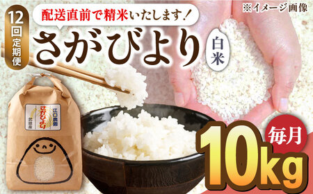 【11月発送開始】【12回定期便】令和6年産 新米 さがびより 白米 10kg＜14年連続特A評価＞ 配送前精米/江口農園[UBF029] 白米 米 お米 精米 佐賀県産 特A