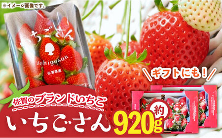 ys\z̃uh  920gi230g×4pj/ʓX [UDK006]  C`S  ʕ t[c