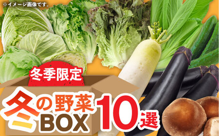 [武雄の八百屋おすすめ]季節限定 冬の野菜ボックス10選 /中村青果店 [UDK008] 野菜 野菜セット 大根 キャベツ レタス グリーンリーフ しいたけ 白菜 チンゲン菜 ナス キュウリ