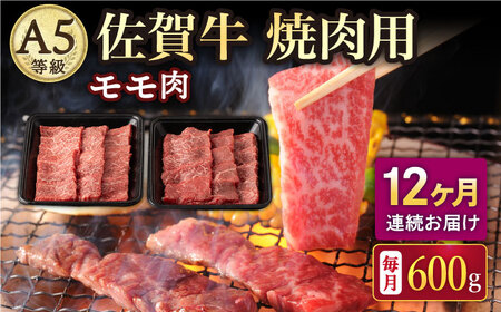 y12ցzA5 ꋍ ēp  600gi300g×2pbNj/i`t[Y [UBH073]