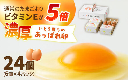 [うみたて新鮮]いとう君ちのあっぱれ卵 24個(6個×4パック)ギフトBOX /いとう養鶏場