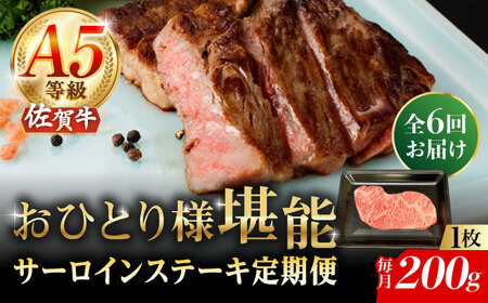 y6ցzA5 ꋍ T[CXe[L 200gi200g×1j/i`t[Y [UBH099]