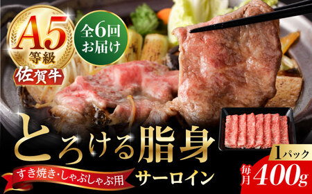 y6ցzA5 ꋍ T[CXCX 400gi400g×1pbNj/i`t[Y [UBH111]