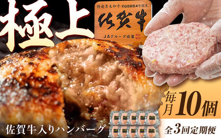 y3ցzꋍ萶no[O 150g×10i^Ej /MK~[gY[UEM003]