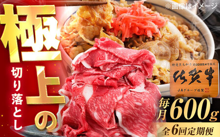 y6ցzꋍ ؂藎Ƃ 600g /MK~[gY[UEM032]