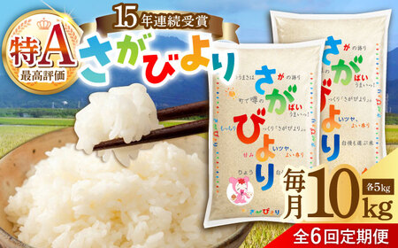 y6ցzߘa7NY V т  10kgi5kg×2܁j /JAHƂ[UDS003]