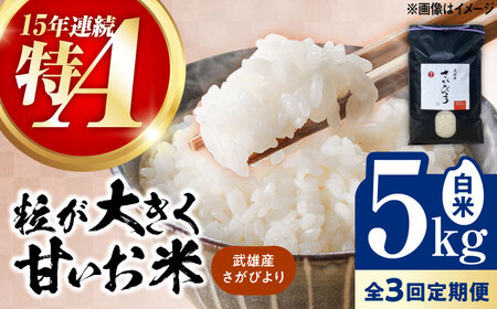 [3回定期便]武雄市産 さがびより 白米 5kg /株式会社 y's company(utsu和ya)