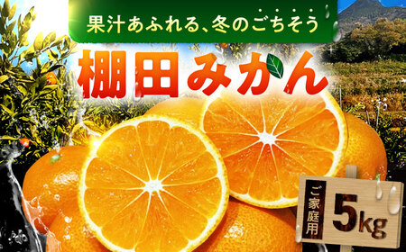 武雄産棚田みかん 5kg ご家庭用(S〜Lサイズ混合) /株式会社 y's company(utsu和ya)