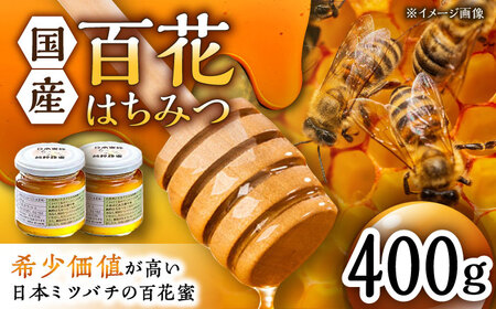[コクと味わい深い甘み]日本蜜蜂 百花 はちみつ 計400g(200g×2)純粋蜂蜜 /永尾 忠則 [UAS004] ハチミツ はちみつ 蜂蜜 国産 純粋 百花蜜 日本みつばち ハニー