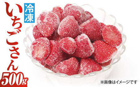 [アレンジいろいろ]冷凍いちごさん 500g[UBD007] いちご 苺 イチゴ こおりいちご 冷凍いちご いちご500g 佐賀いちご
