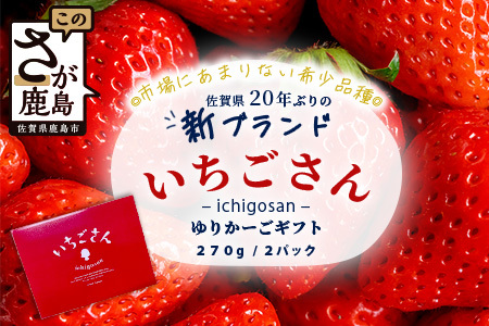 [先行予約]いちごさん ゆりかーごギフト[2025年1月上旬〜3月発送]
