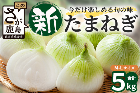 甘〜い!新たまねぎ 約5kg (MLサイズ)生産者直送!★大自然育ち[2026年4月より順次発送]タマネギ 玉葱 新タマ 新玉ねぎ サラダ 惣菜 お料理 ストック 箱買 美味しい 甘い 常備野菜 佐賀県 鹿島市産 人気 送料無料