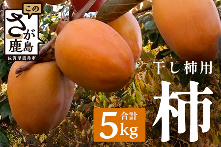 `y`pz5kgi30Oja` B-793