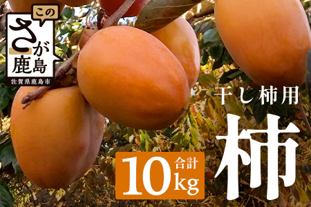 `y`pz10kgi70Oja` B-794