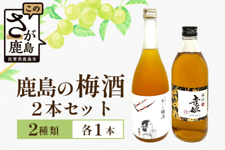 [梅酒セット]鹿島の梅酒2本セット [光武 癒しの梅酒 720ml 1本]・[幸姫梅酒 500ml 1本][梅酒 うめ酒 セット 梅酒セット 2本 お酒 酒 梅 梅果肉 すっきり 酸味 おすすめ 人気 送料無料]