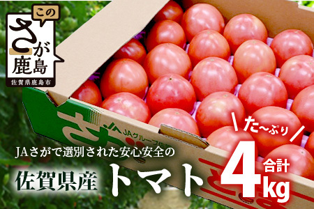 佐賀県農業協同組合 施設トマト部会 佐賀県産トマト約4kg[3月上旬〜5月下旬随時出荷予定] JAトマト [野菜 トマト 新鮮 サラダ 生野菜 とまと栄養 おすすめ 送料無料]B-805