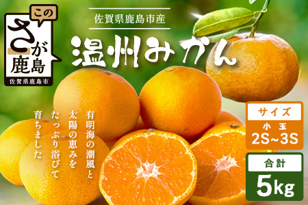 B݂ (SS,3S)5kg@A-205